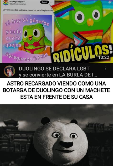 duolingo memes|memes de duolingo en español.
